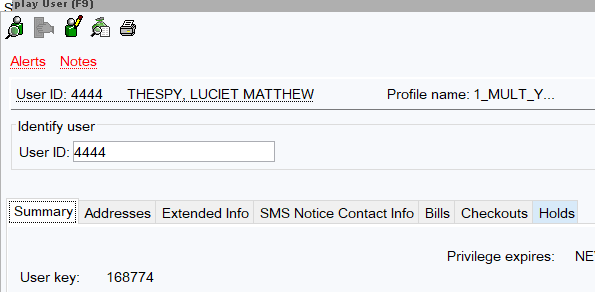Screenshot of display user holds window