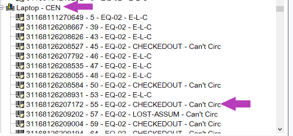 Screenshot of when a Chromebook hasn't been returned. It says Checked out can't Circ