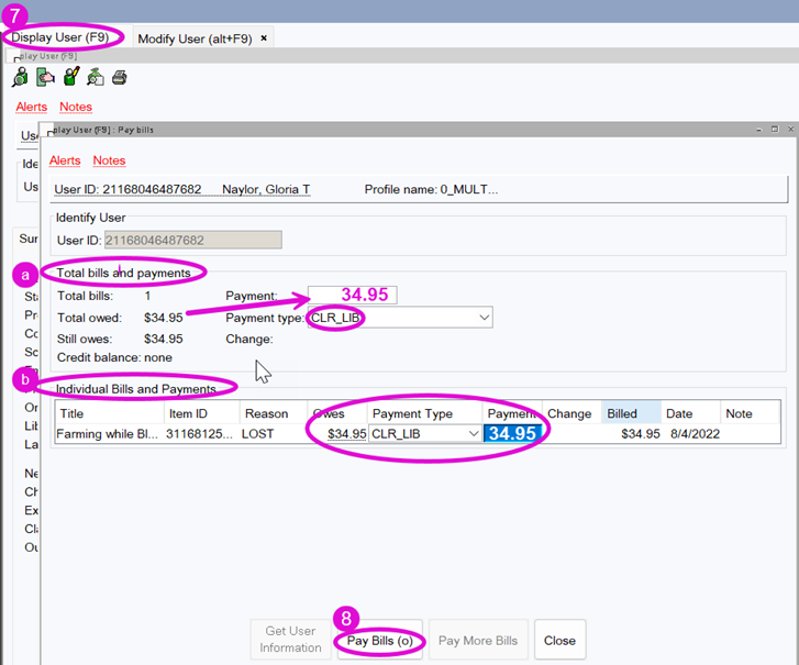 Screenshot of paying bills wizard