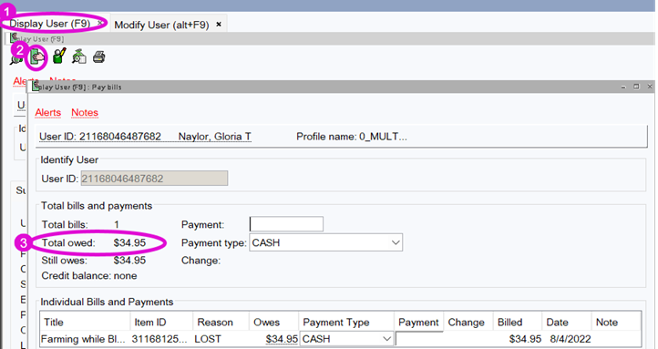 Screenshot of documenting a CLR_LIB in a history field.