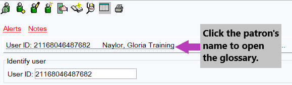 Screenshot of where to click to open the glossary