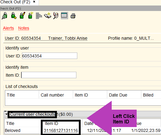 Screenshot of Checkout wizard showing where to click to see the glossary.