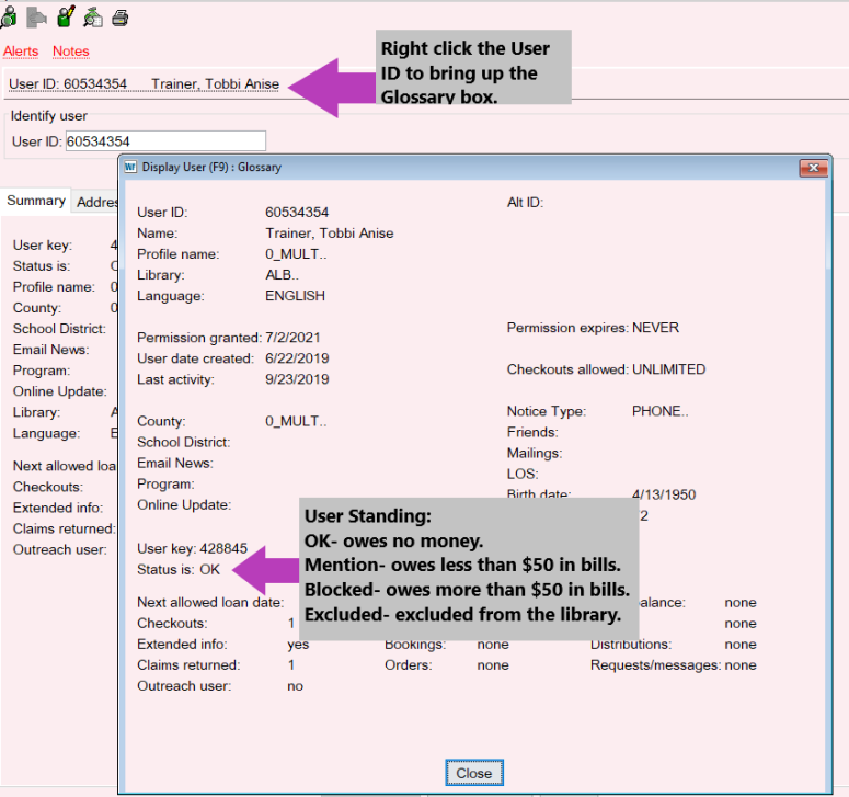 inside the user glossary