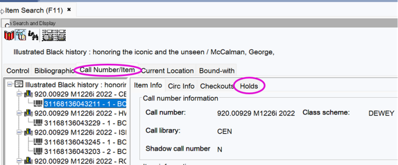 Screenshot of Item Search Call number/Item 